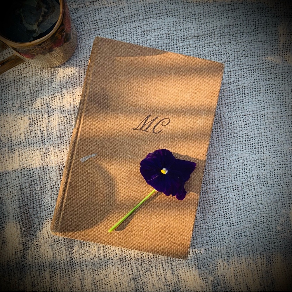 Vintage Marie Curie Biography